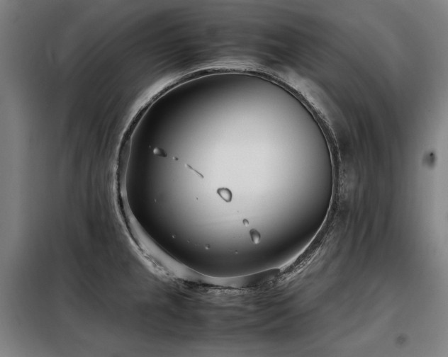 X0000098101237200804041236