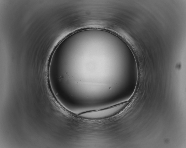 X0000098101240200804041236