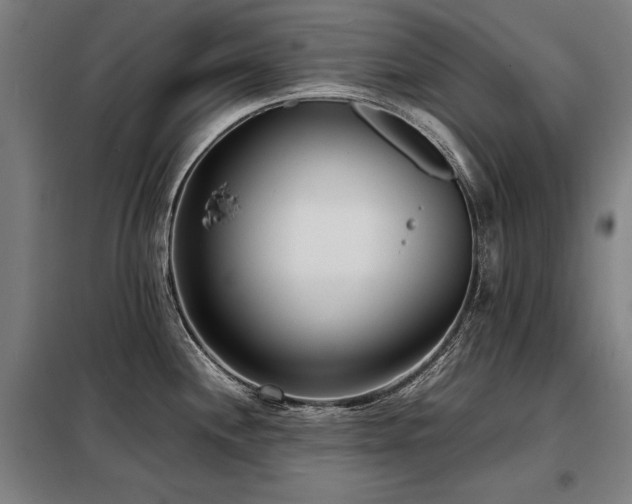X0000098101244200804041236