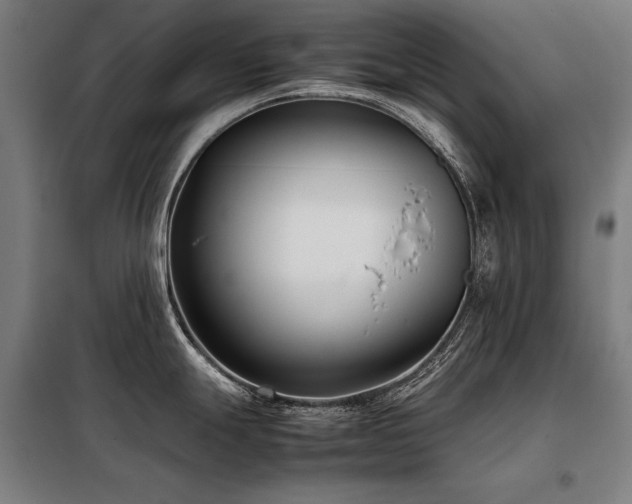 X0000098101247200804041236