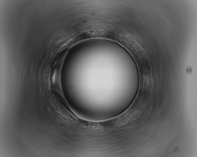 X0000098101250200804041236