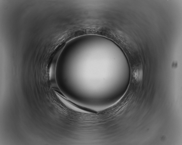 X0000098101252200804041236