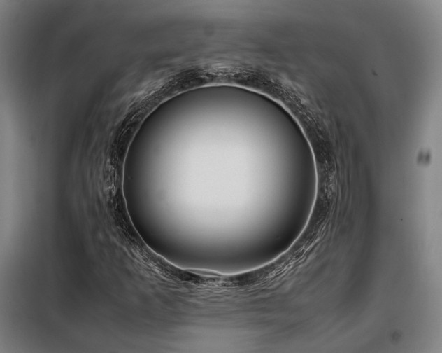 X0000098101253200804041236