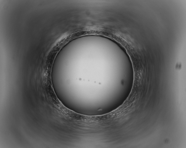 X0000098101254200804041236