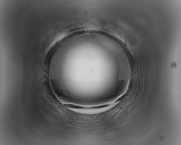 X0000098101255200804041236