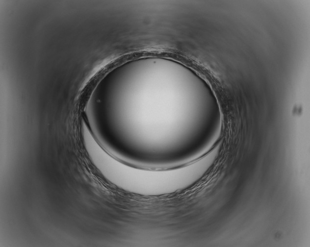 X0000098101256200804041236