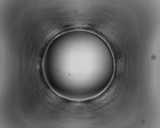 X0000098101257200804041236