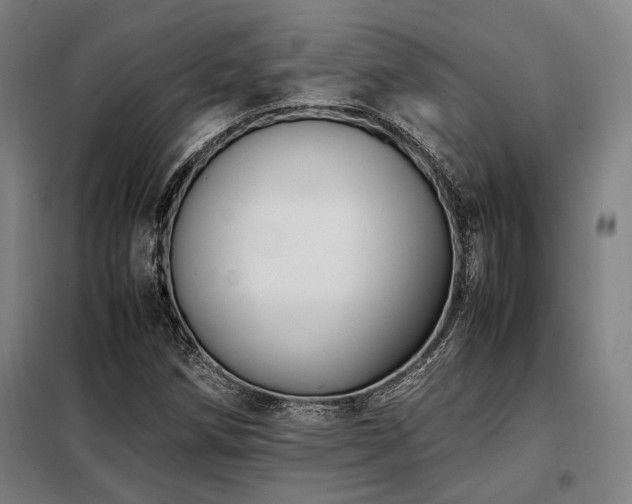 X0000098101258200804041236
