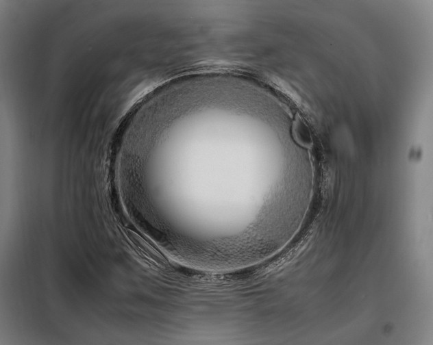 X0000098101259200804041236