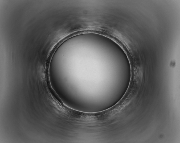 X0000098101260200804041236