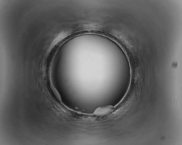 X0000098101261200804041236