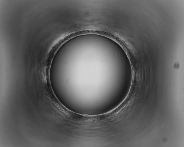 X0000098101262200804041235