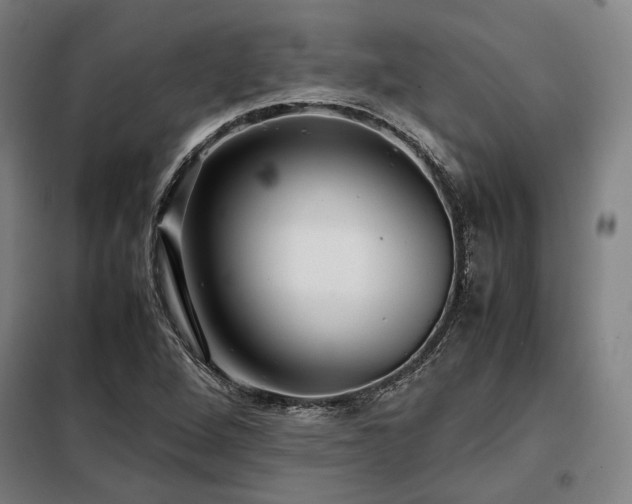 X0000098101264200804041235