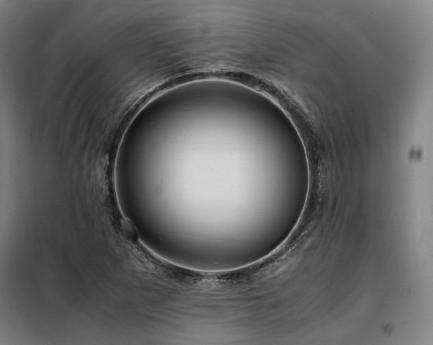 X0000098101265200804041235