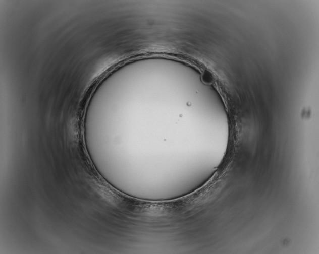 X0000098101266200804041235