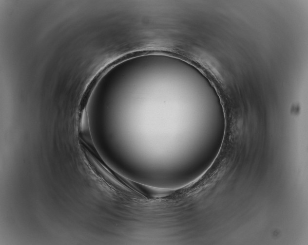 X0000098101268200804041235