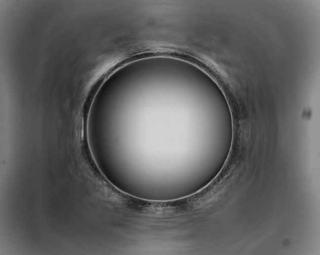 X0000098101269200804041235
