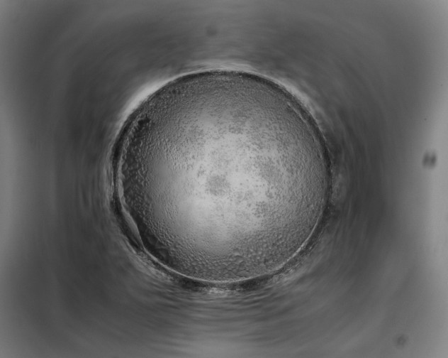 X0000098101271200804041235