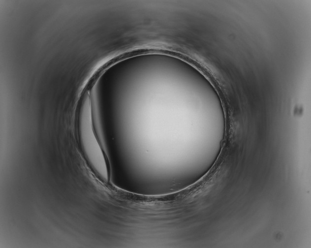 X0000098101272200804041235