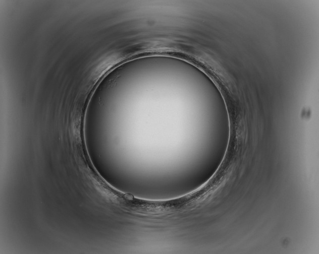 X0000098101273200804041235