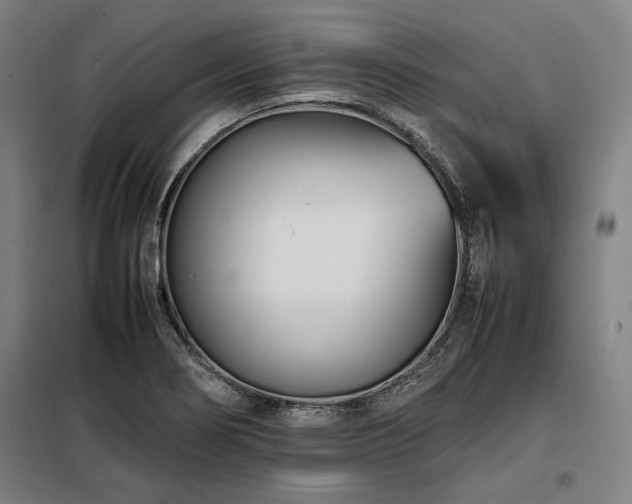 X0000098101274200804041235