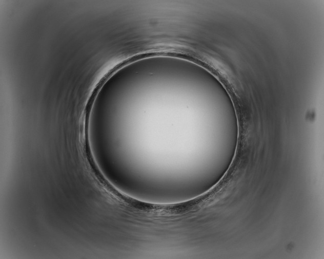 X0000098101275200804041235
