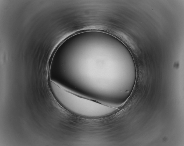 X0000098101276200804041235