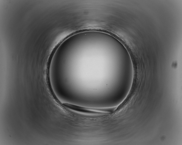 X0000098101277200804041235