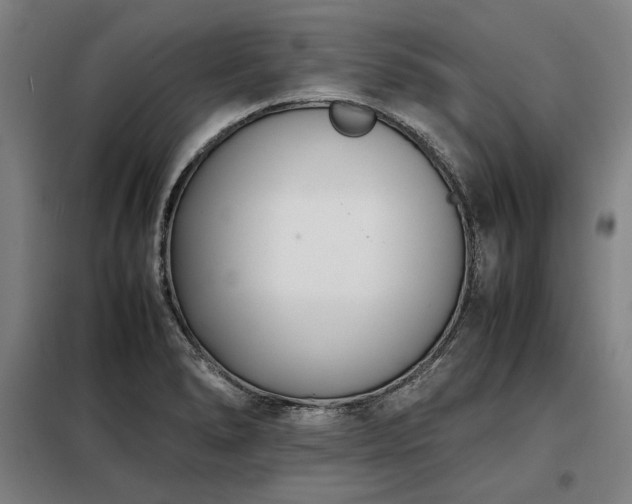 X0000098101278200804041235