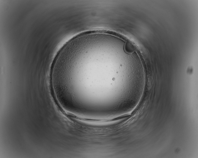 X0000098101279200804041235