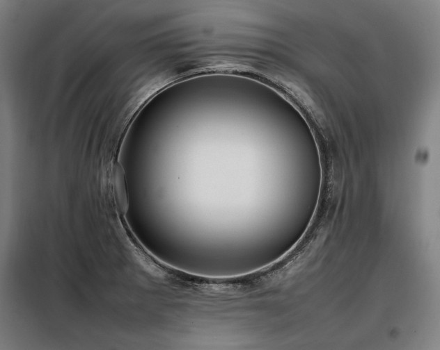 X0000098101281200804041235