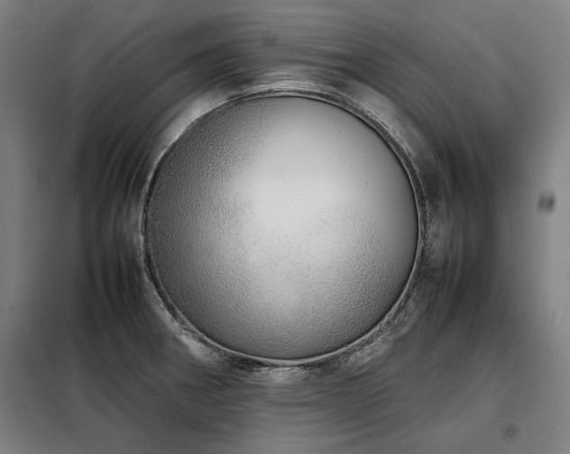 X0000098101282200804041235