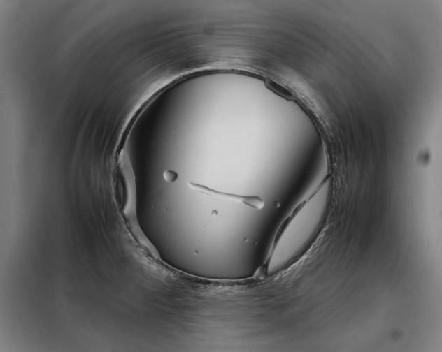 X0000098101284200804041235