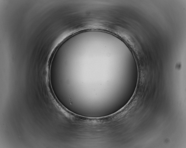 X0000098101286200804041235
