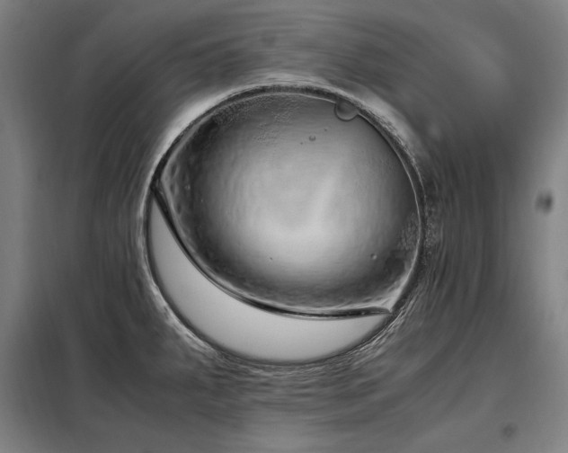 X0000098101287200804041235