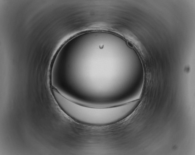 X0000098101288200804041235