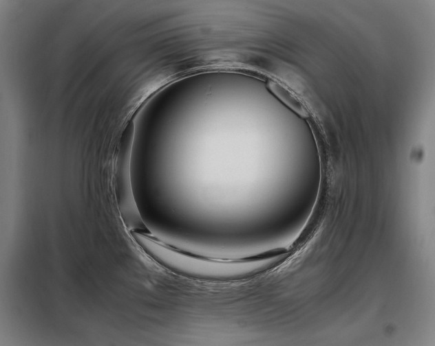 X0000098101289200804041235