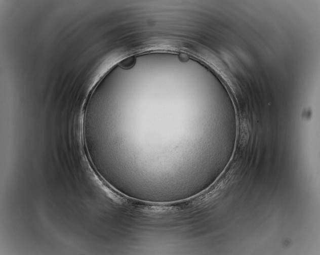 X0000098101290200804041235