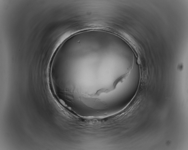 X0000098101291200804041235