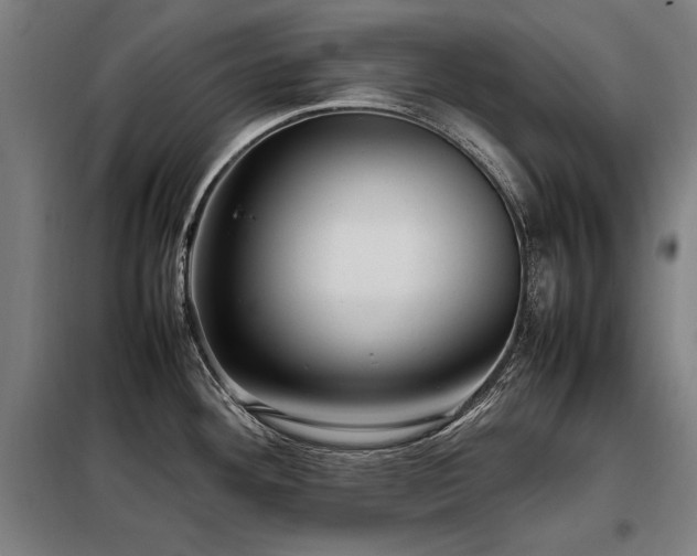 X0000098101292200804041235