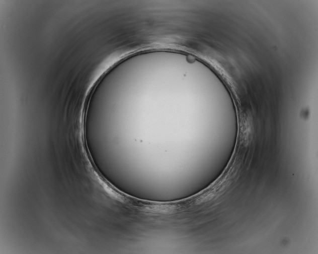 X0000098101294200804041235
