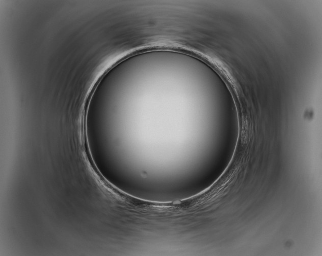 X0000098101295200804041235