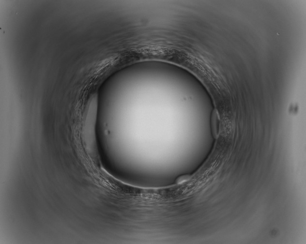 X0000098101297200804041234