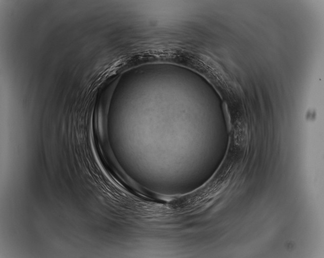 X0000098101298200804041234