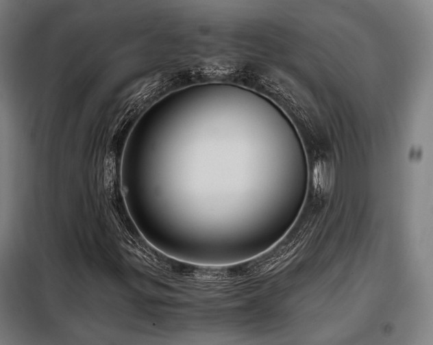 X0000098101299200804041234
