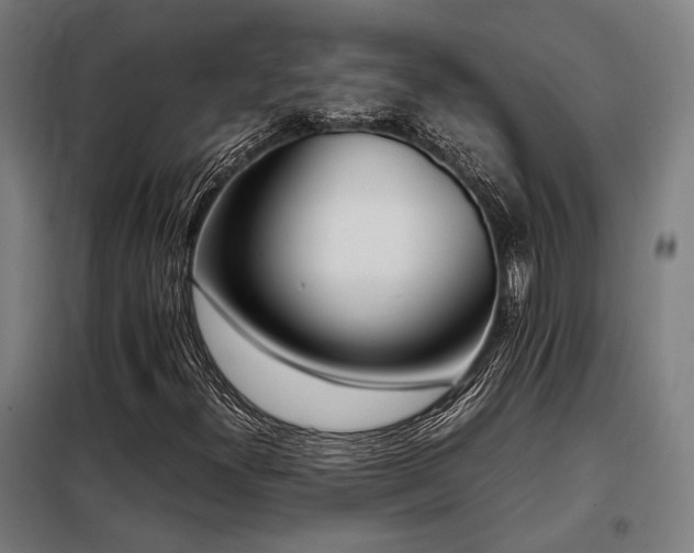 X0000098101300200804041234