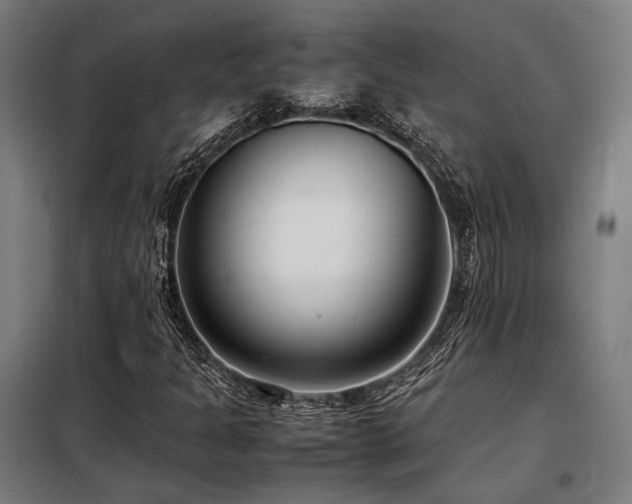 X0000098101301200804041234