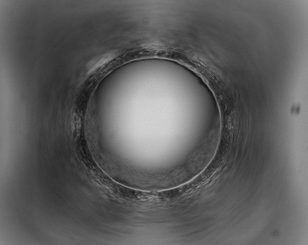 X0000098101302200804041234