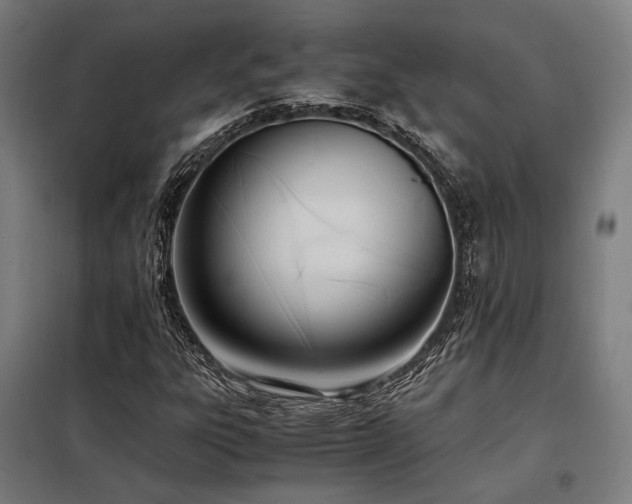 X0000098101303200804041234