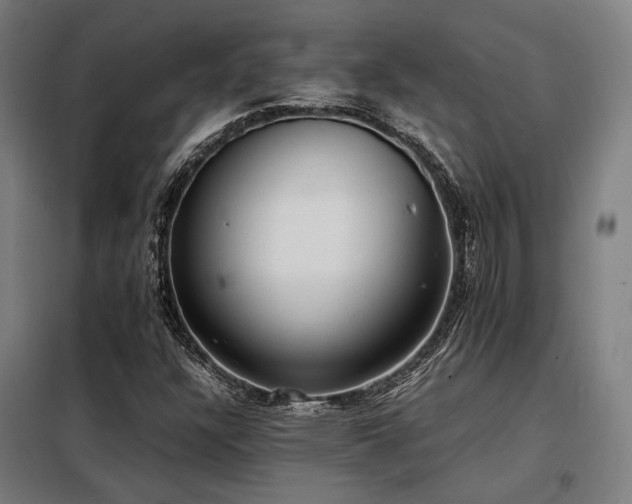 X0000098101304200804041234